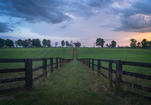 Kentucky Horse Farm